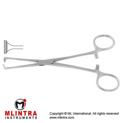 Allis-Adair Intestinal and Tissue Grasping Forceps 10 x 11 Teeth Stainless Steel, 16 cm - 6 1/4" Allis-Adair Intestinal and Tissue Grasping Forceps 10 x 11 Teeth Stainless Steel, 16 cm - 6 1/4"